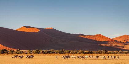 Sossusvlei red sand dunes in Namibia