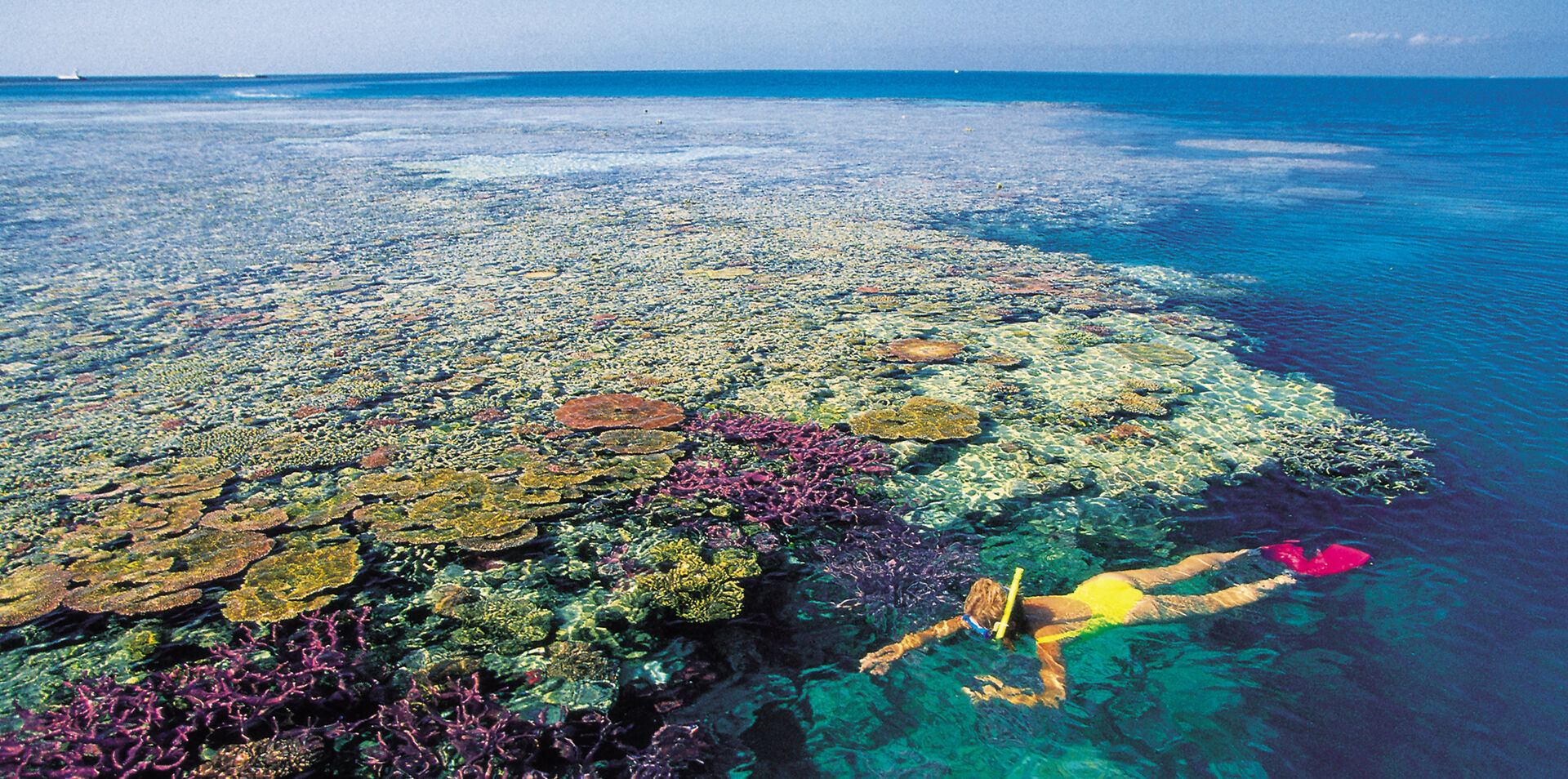 Cruise The Great Barrier Reef