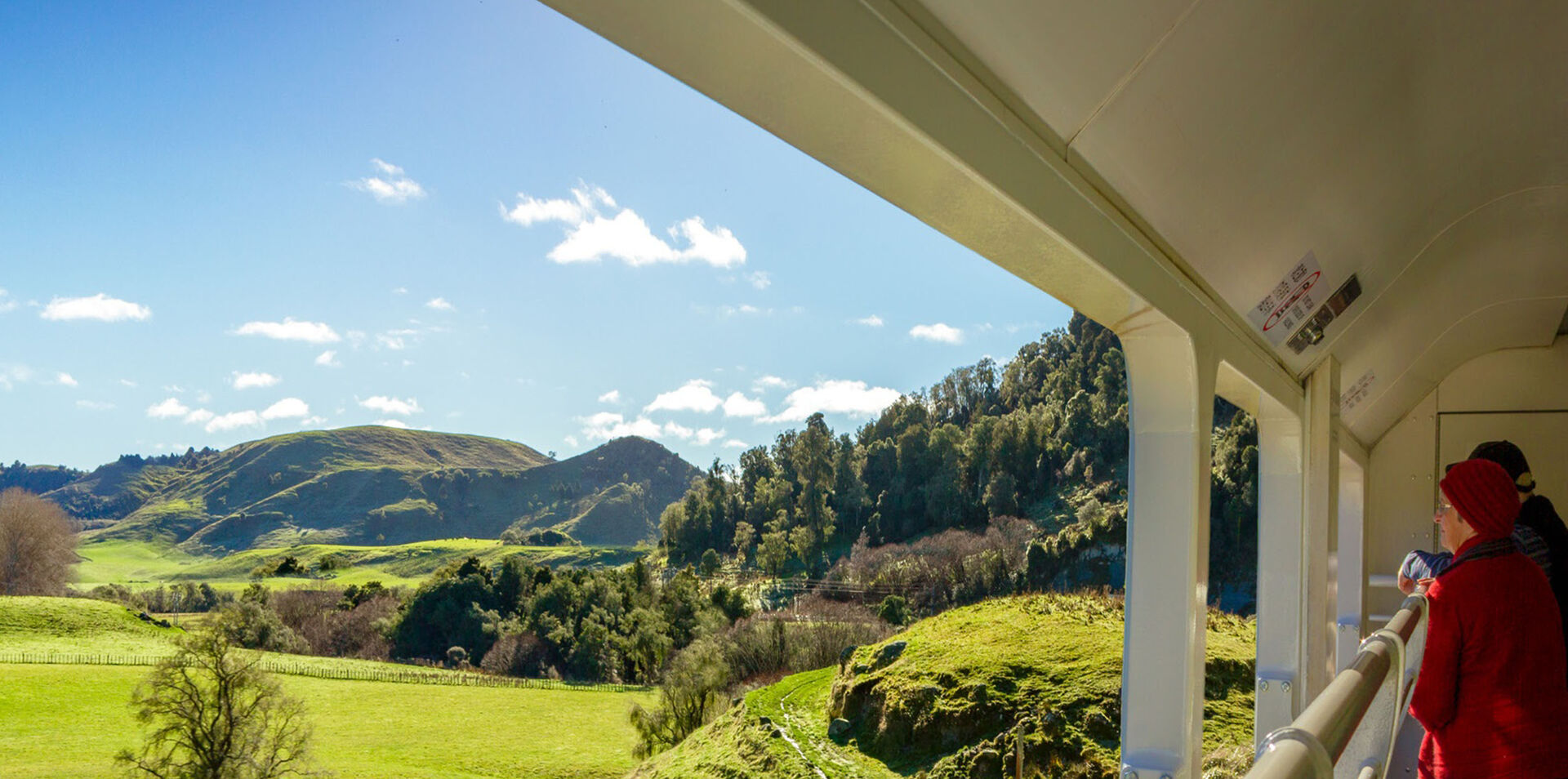 New Zealand Up Close by Rail