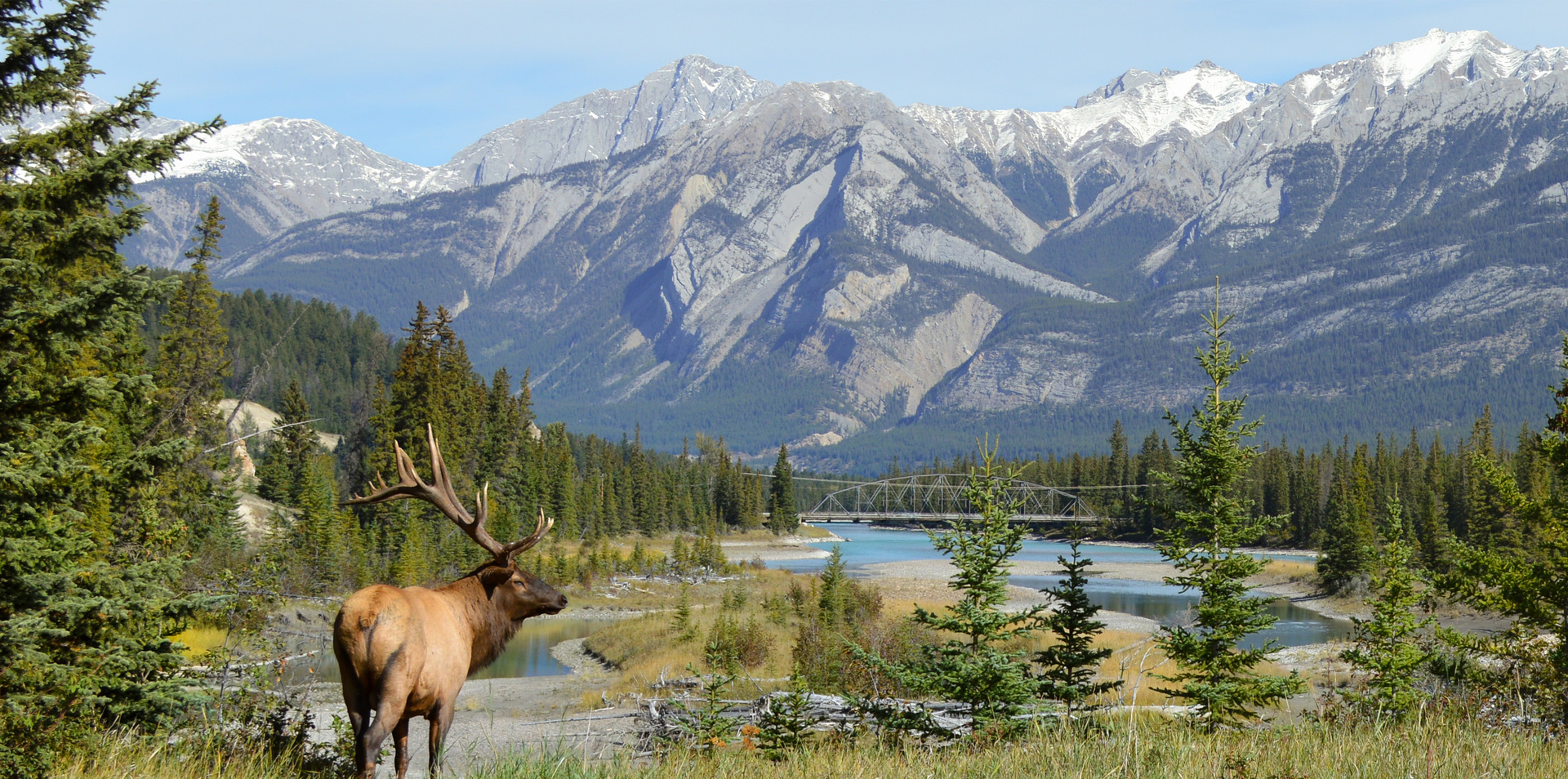 Majestic Rockies